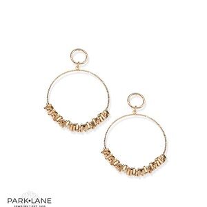NWT Park Lane Echo Earrings